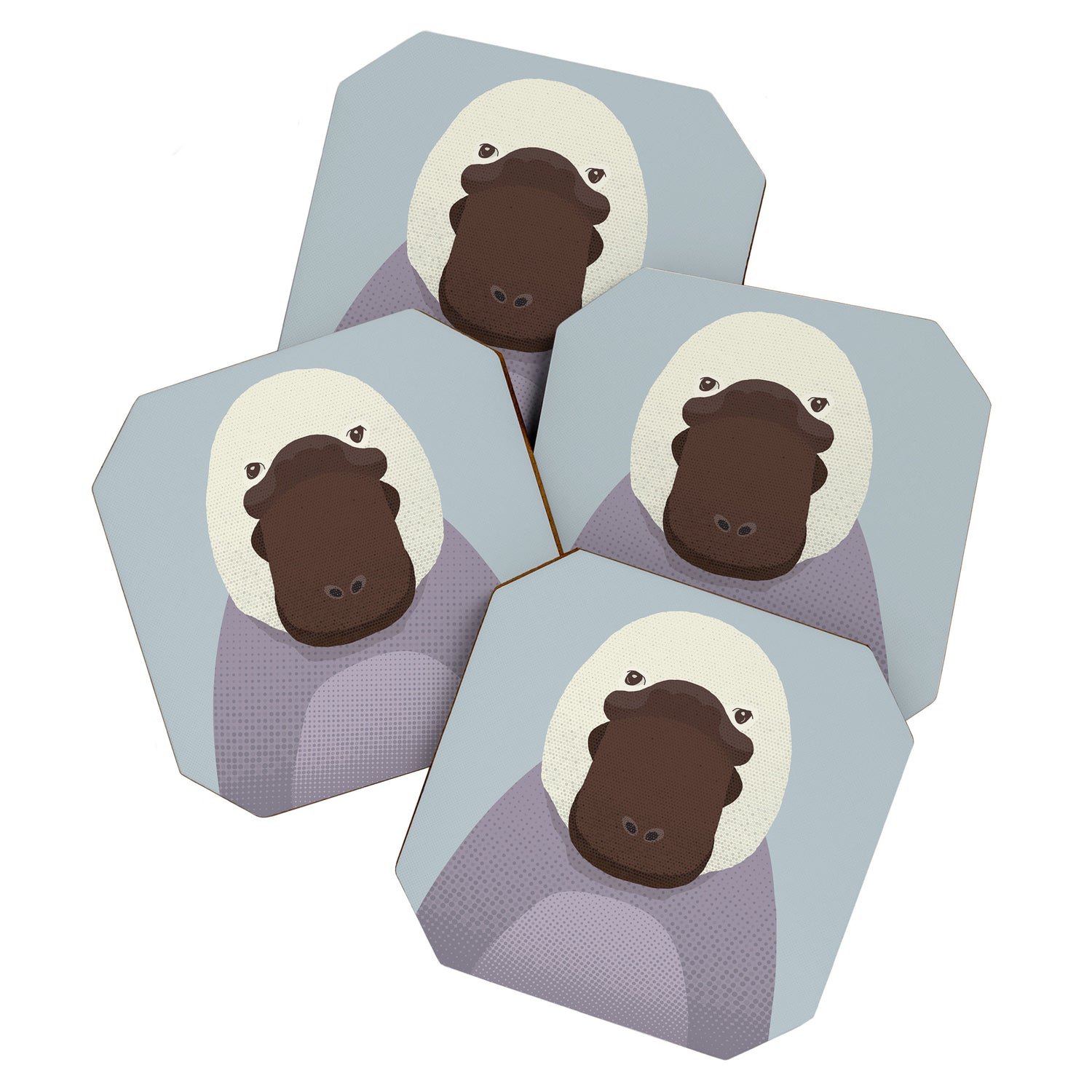 Whimsy Platypus, Animal Portrait Coaster Gallery Image 1