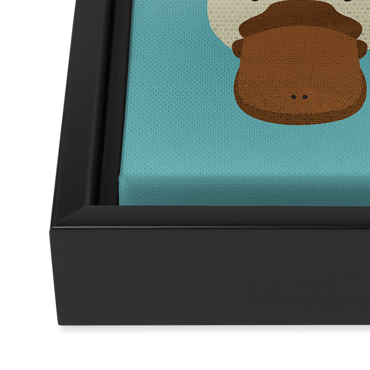 Whimsy Platypus Framed Canvas Print Gallery Image 3