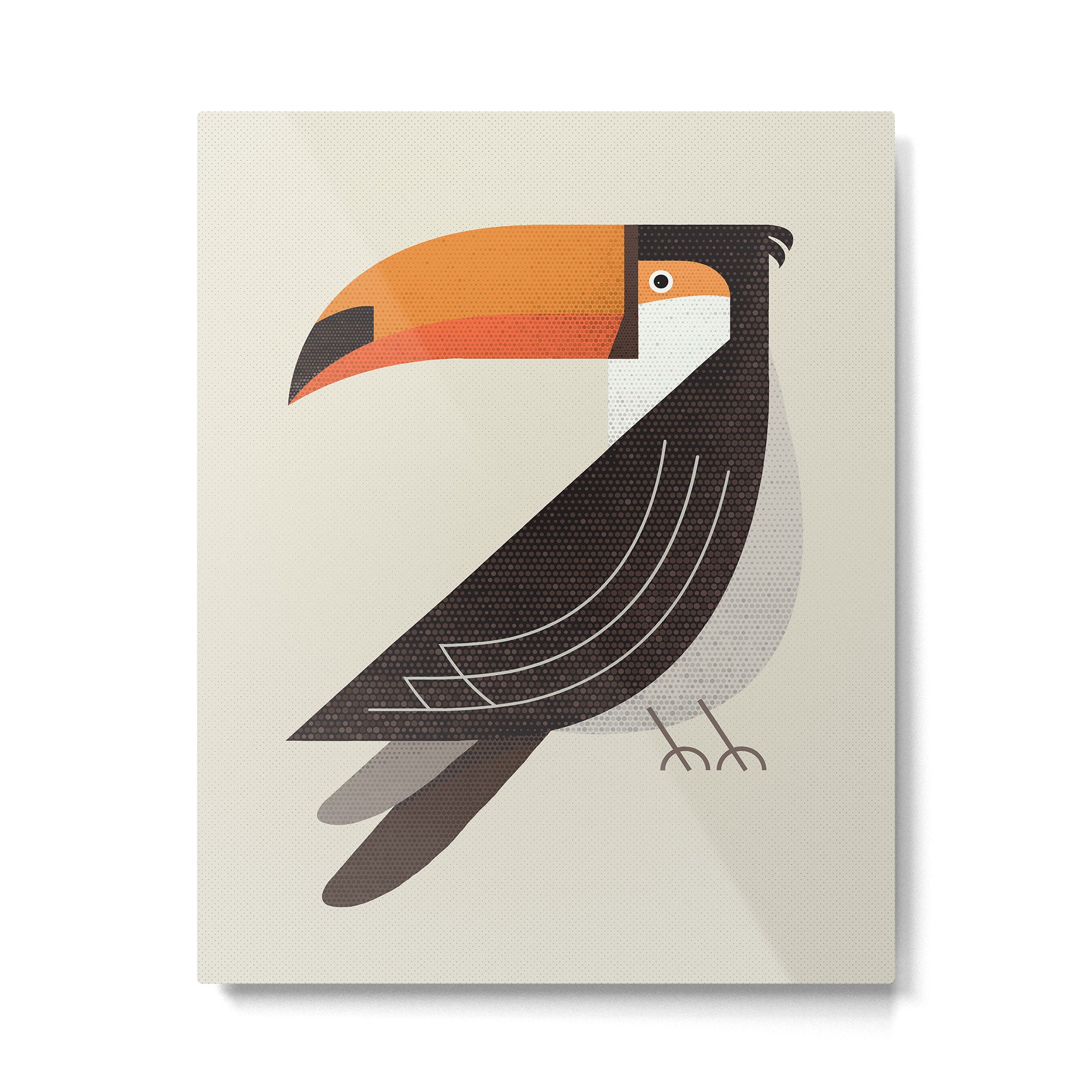 Whimsy Toucan Metal Print Gallery Image 6