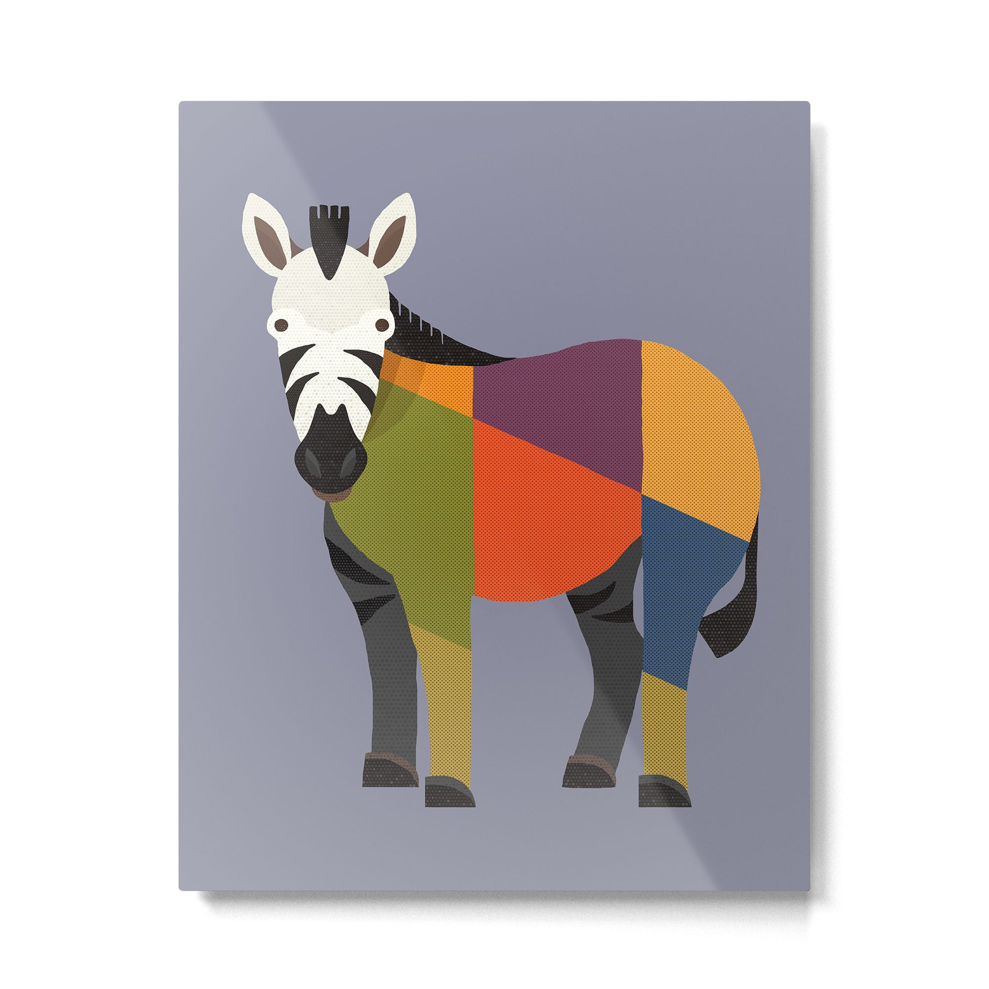 Zebra Metal Print Gallery Image 6