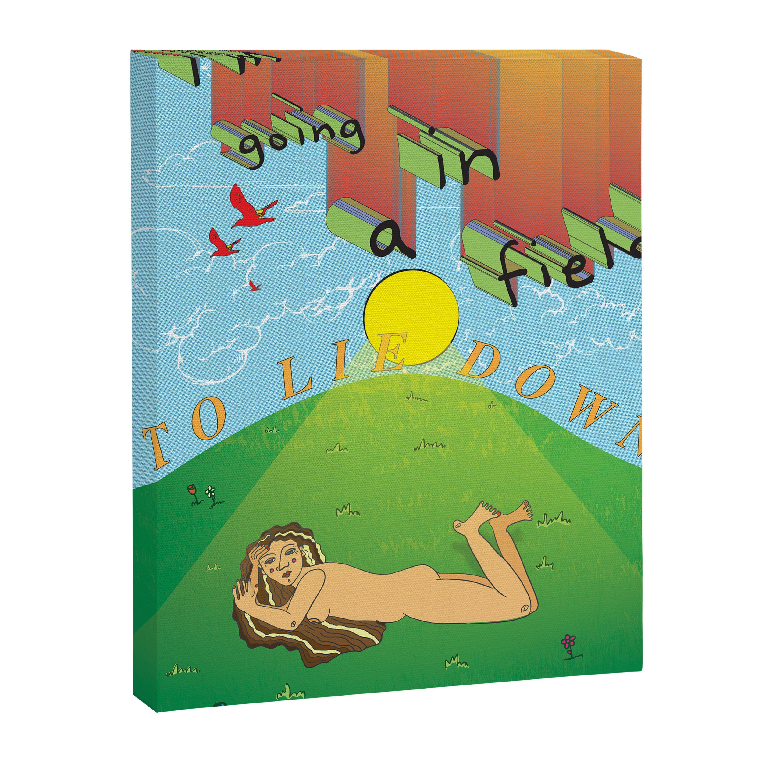 i'm going in a field Canvas Print Gallery Image 6