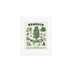 Sequoia National Park California Adventure Travel Art Print Art Print Gallery Image 1