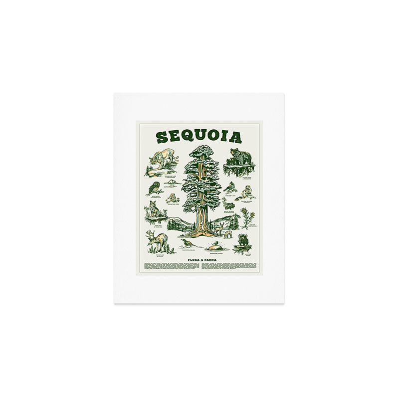 Sequoia National Park California Adventure Travel Art Print Art Print Gallery Image 1
