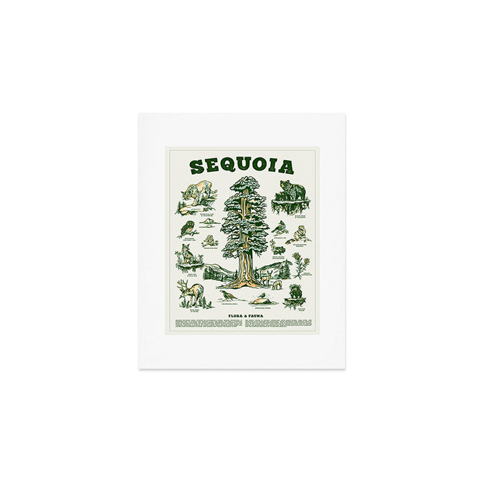 Sequoia National Park California Adventure Travel Art Print Art Print Gallery Image 1