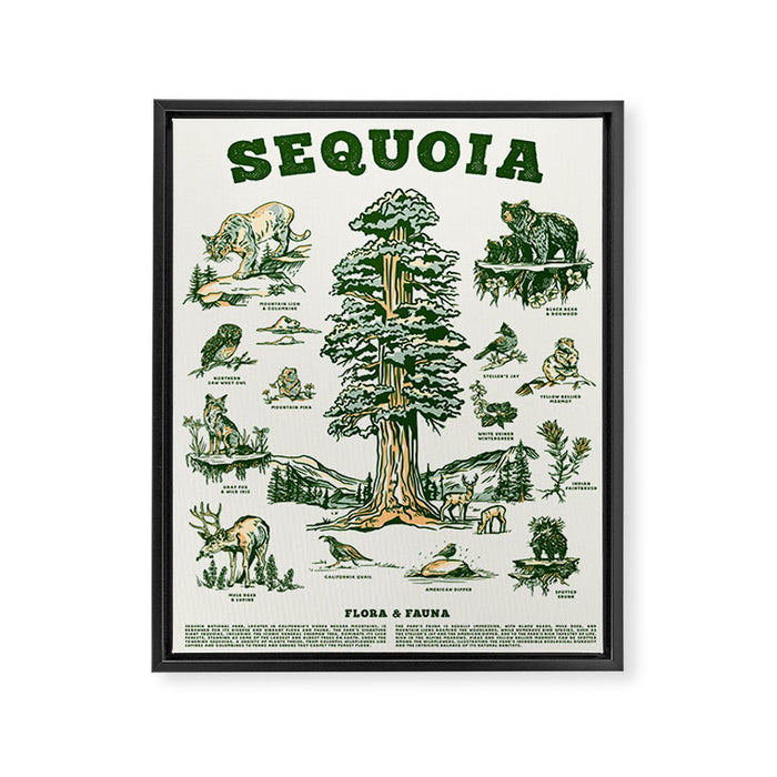 Sequoia National Park California Adventure Travel Art Print Framed Canvas Print Gallery Image 1