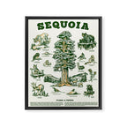 Sequoia National Park California Adventure Travel Art Print Framed Canvas Print Gallery Image 6