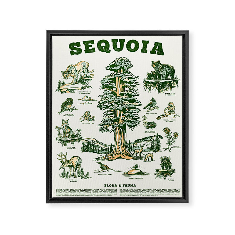 Sequoia National Park California Adventure Travel Art Print Framed Canvas Print Gallery Image 6