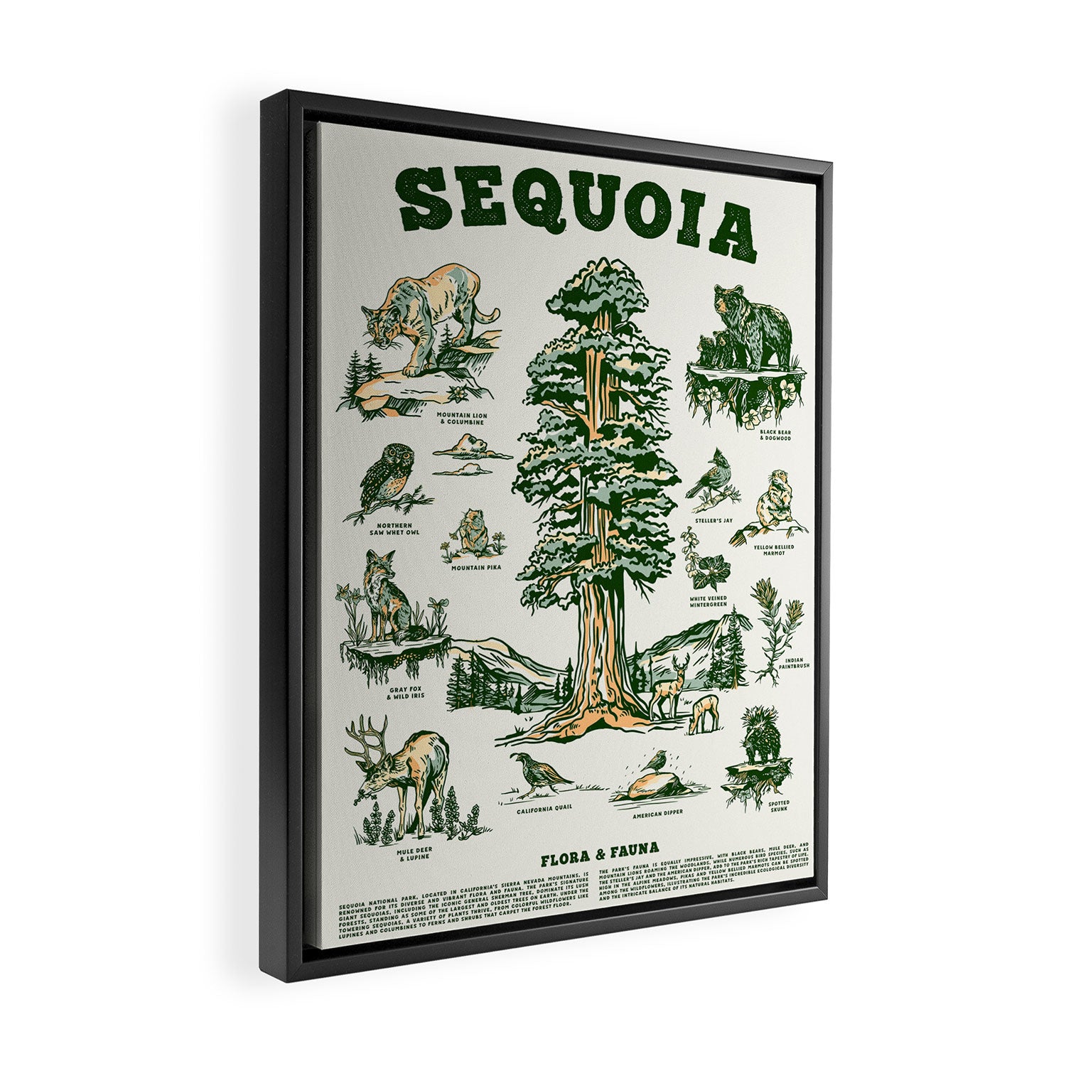 Sequoia National Park California Adventure Travel Art Print Framed Canvas Print Gallery Image 2