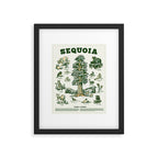 Sequoia National Park California Adventure Travel Art Print Framed Art Print Gallery Image 5