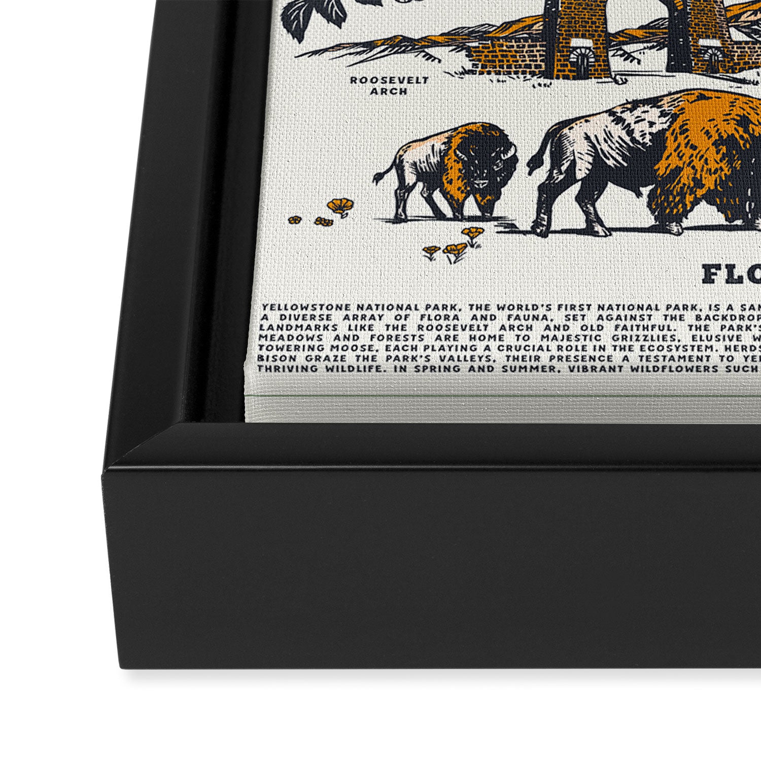 Yellowstone National Park Flora & Fauna Vintage Travel Poster Framed Canvas Print Gallery Image 3