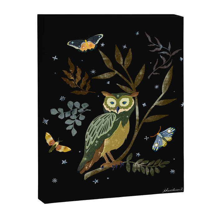 Moonlit Owl and Fluttering Moths Canvas Print Gallery Image 1