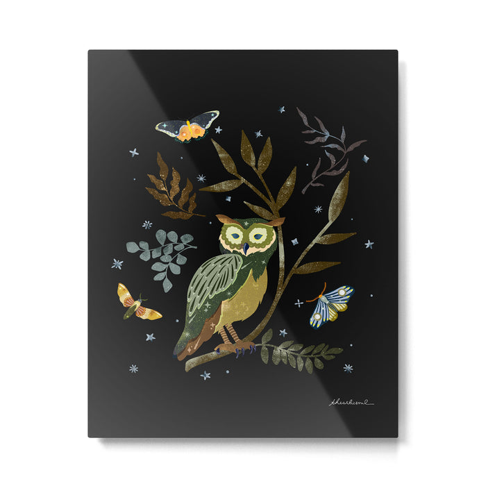 Moonlit Owl and Fluttering Moths Metal Print Gallery Image 1