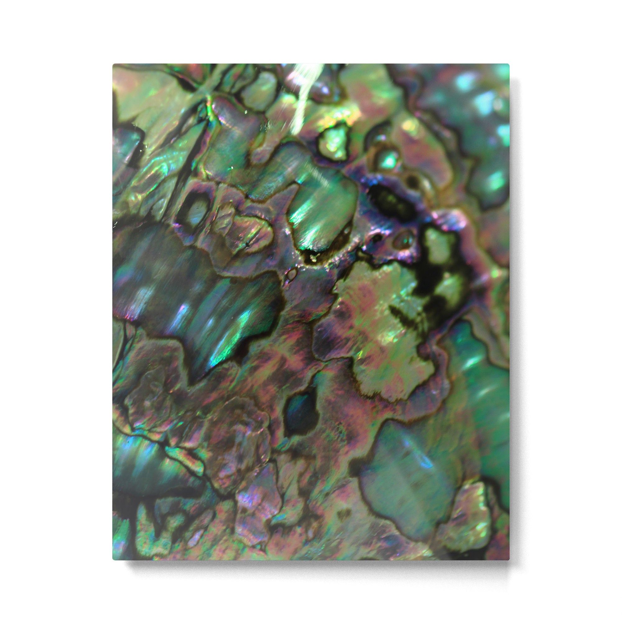 Oil Slick Abalone Mother Of Pearl Metal Print Gallery Image 4