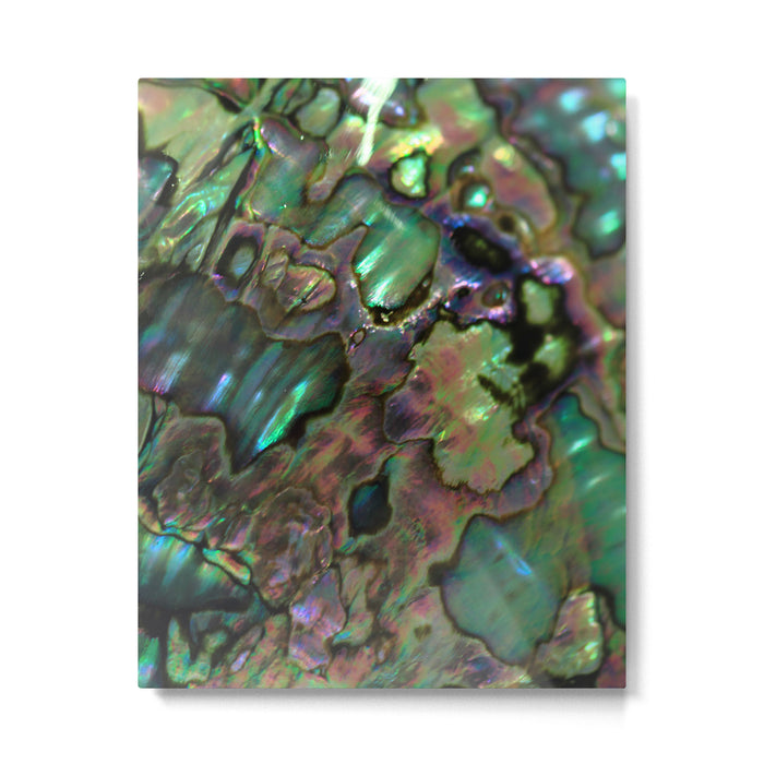 Oil Slick Abalone Mother Of Pearl Metal Print Gallery Image 1