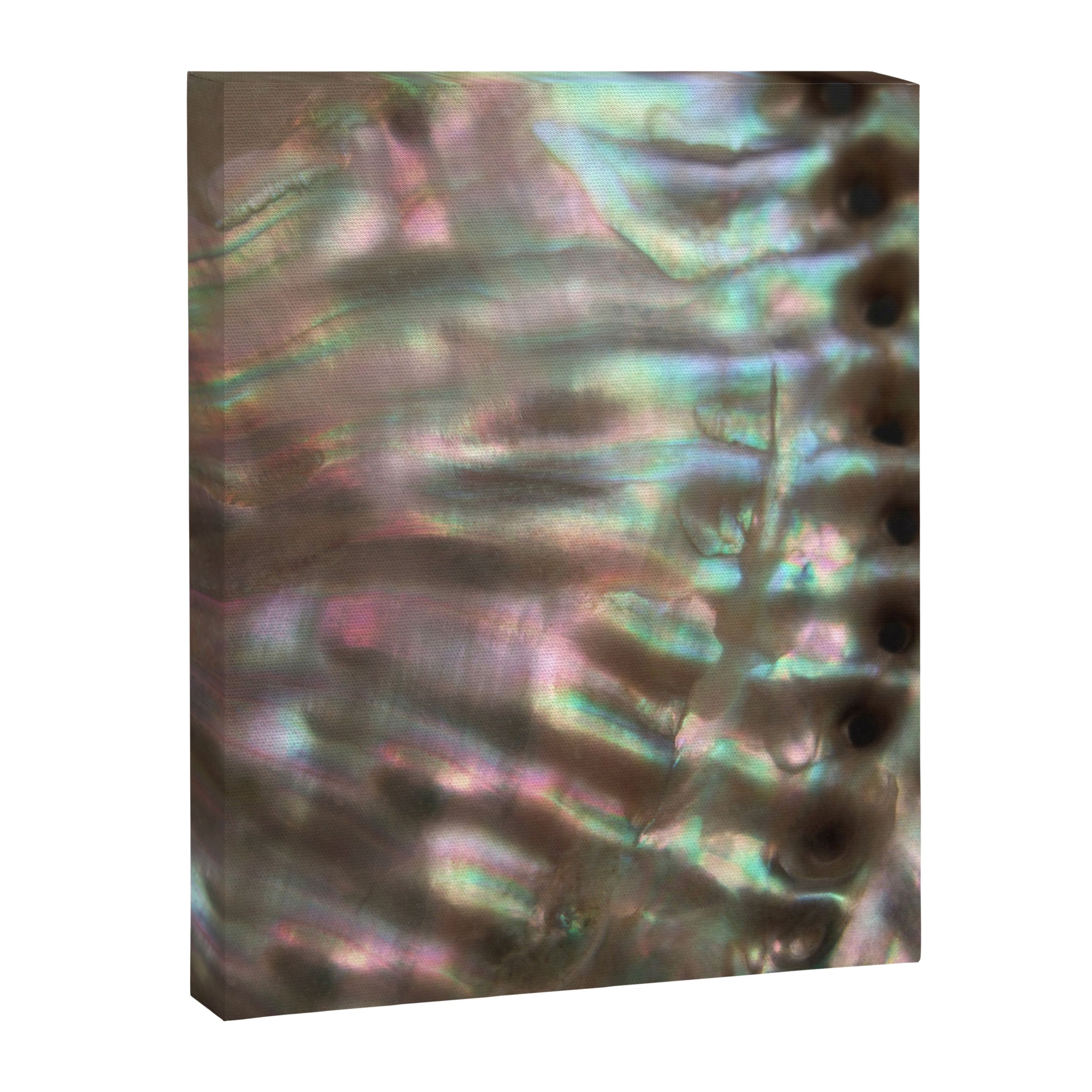 Shimmery Greenish Pink Abalone Mother of Pearl Canvas Print Gallery Image 6