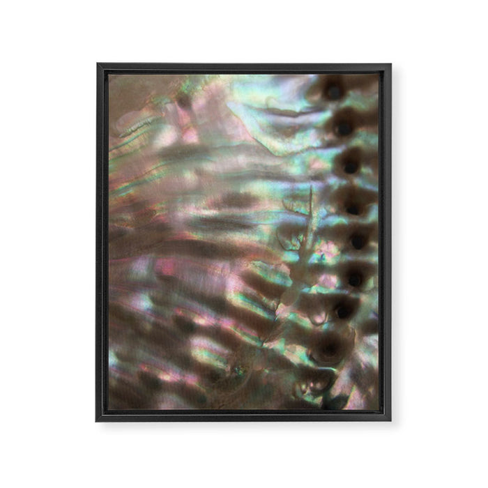 Shimmery Greenish Pink Abalone Mother of Pearl Framed Canvas Print Gallery Image 1
