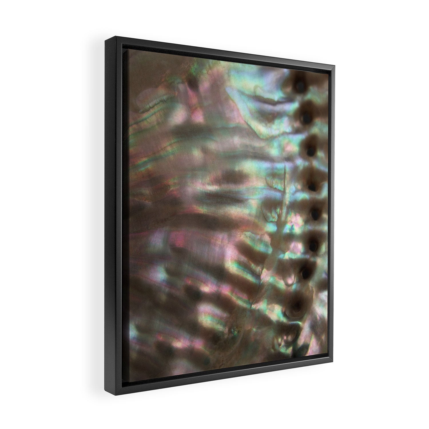Shimmery Greenish Pink Abalone Mother of Pearl Framed Canvas Print Gallery Image 2