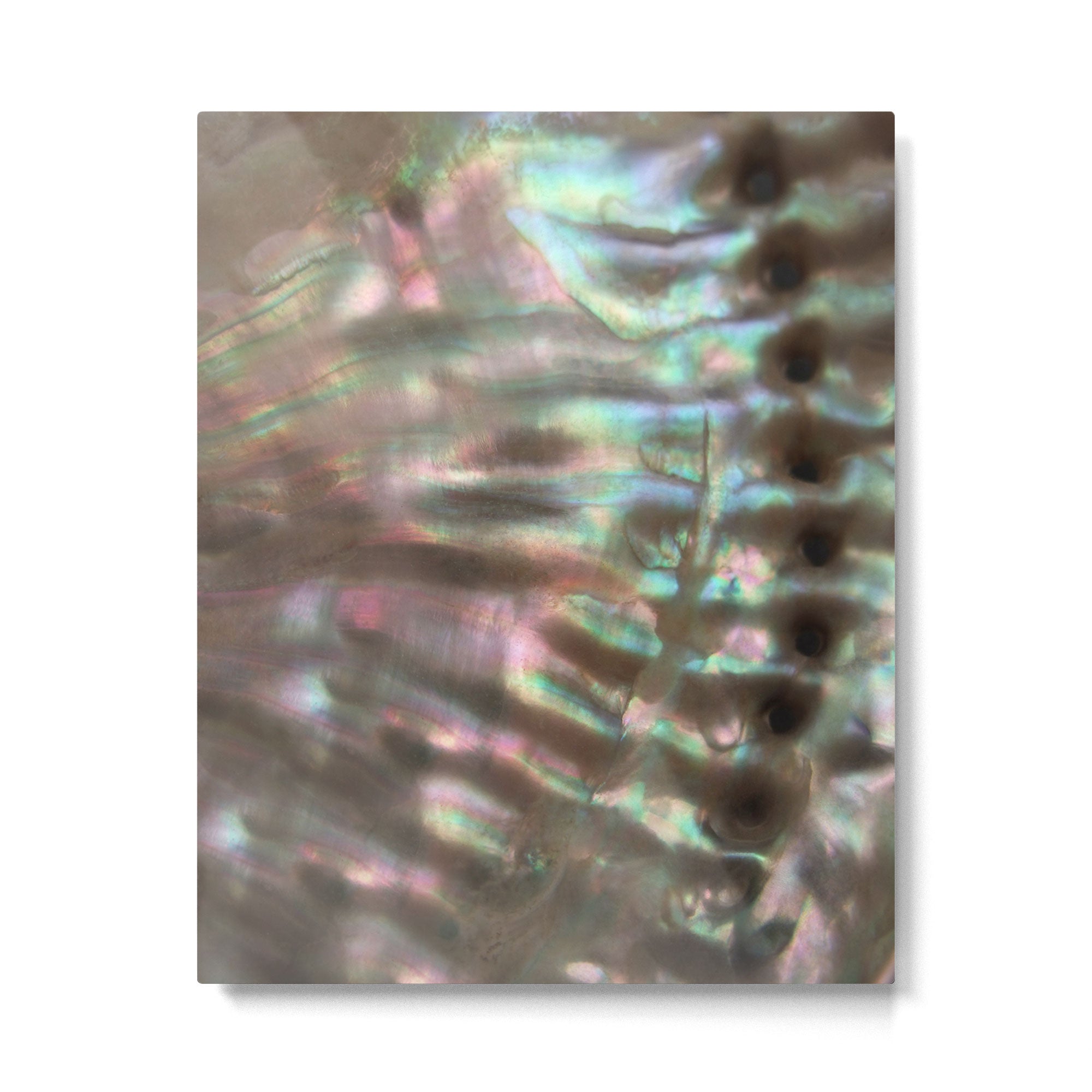 Shimmery Greenish Pink Abalone Mother of Pearl Metal Print Gallery Image 4