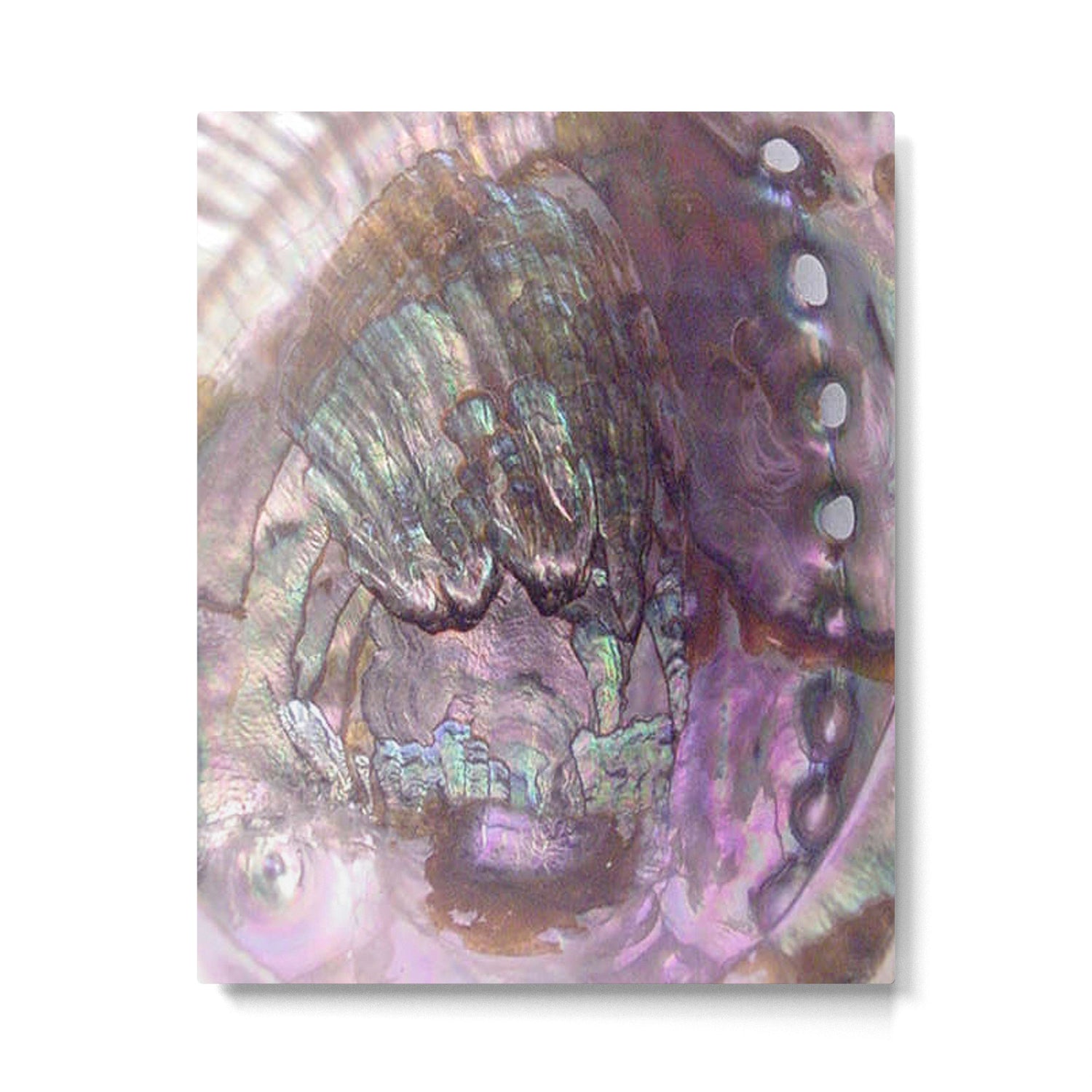 Shimmery Lavender Abalone Mother of Pearl Metal Print Gallery Image 4