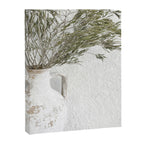 Mediterranean Olive Tree Canvas Print Gallery Image 6