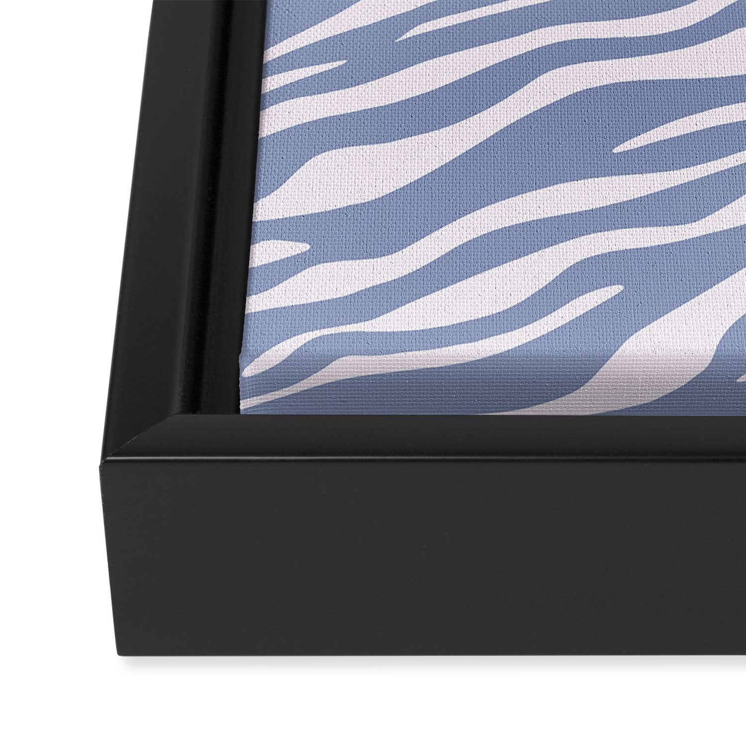 Blue Zebra Animal Print Framed Canvas Print Gallery Image 3