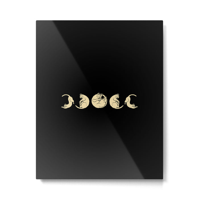 Meowphases Metal Print Gallery Image 1