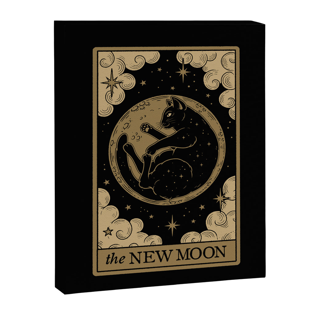 The New Moon - Dark Background Canvas Print Gallery Image 8
