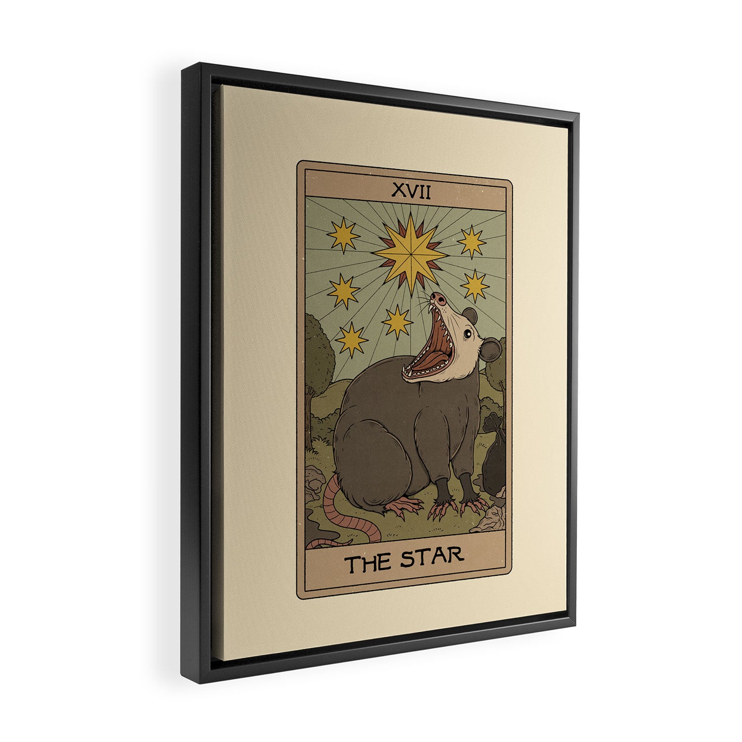 The Star - Possum Tarot Framed Canvas Print Gallery Image 2