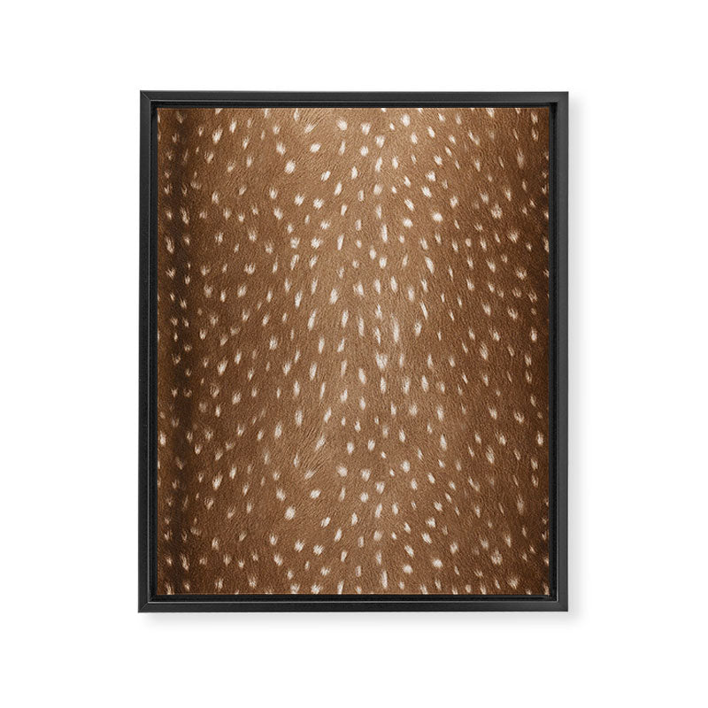Deer Hide Framed Canvas Print Gallery Image 6