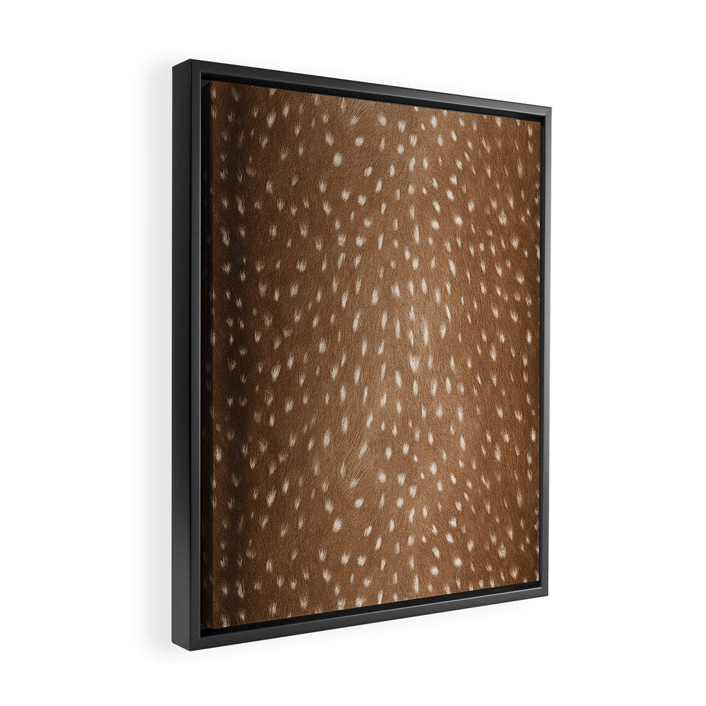 Deer Hide Framed Canvas Print Gallery Image 2