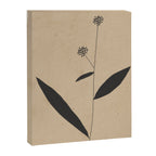 Abstract Art /Minimal Plant 8 Canvas Print Gallery Image 6