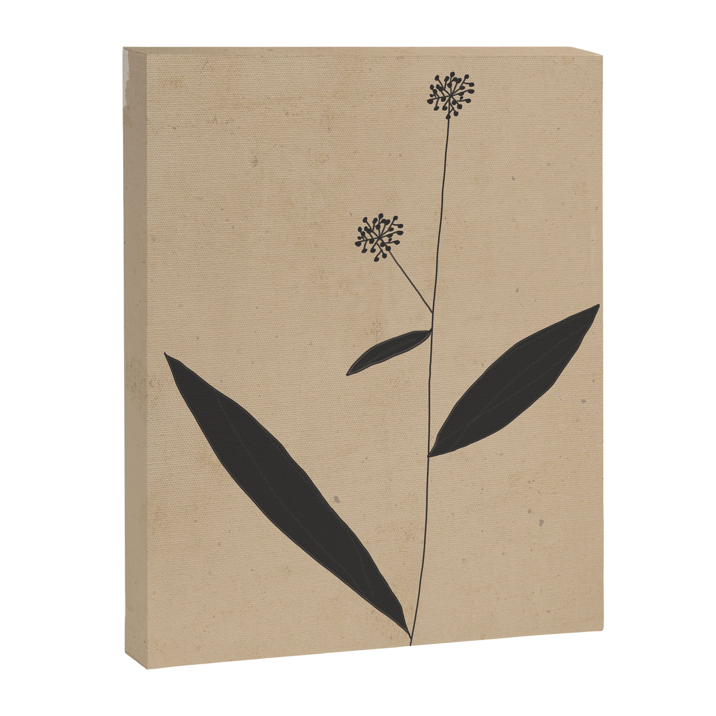 Abstract Art /Minimal Plant 8 Canvas Print Gallery Image 6