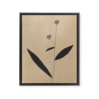 Abstract Art /Minimal Plant 8 Framed Canvas Print Gallery Image 6