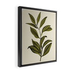 Abstract Art /Minimal Plant 82 Framed Canvas Print Gallery Image 2