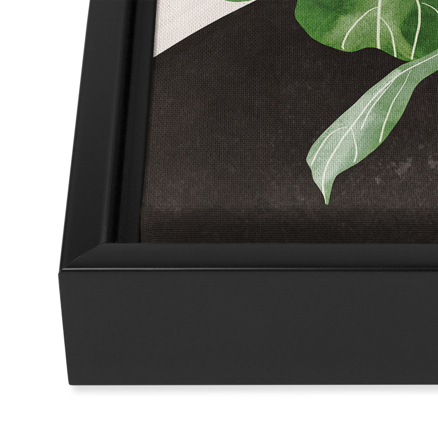 Abstract Art / Plant 2 Framed Canvas Print Gallery Image 3