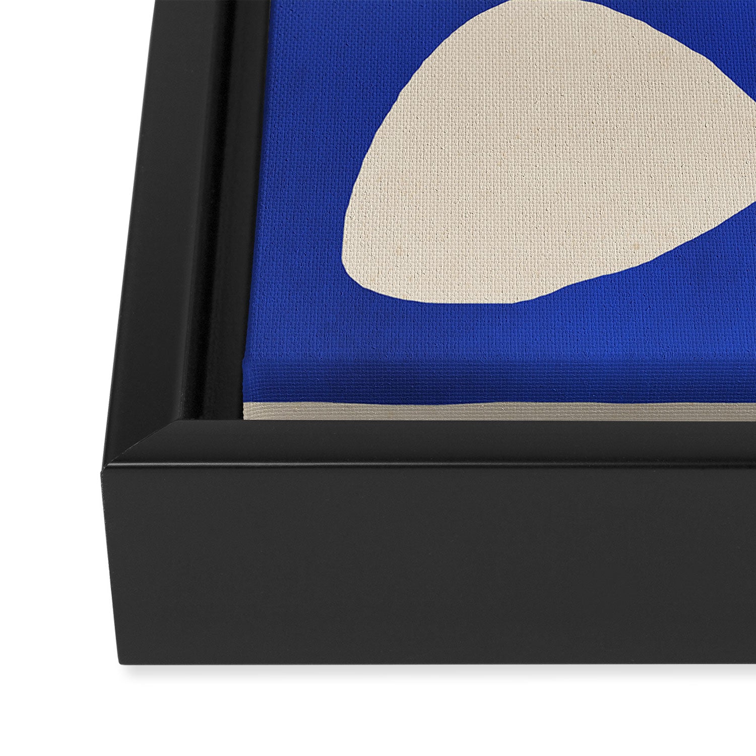 Abstract Minimal -Plant 3-2  Cobalt Blue Framed Canvas Print Gallery Image 3