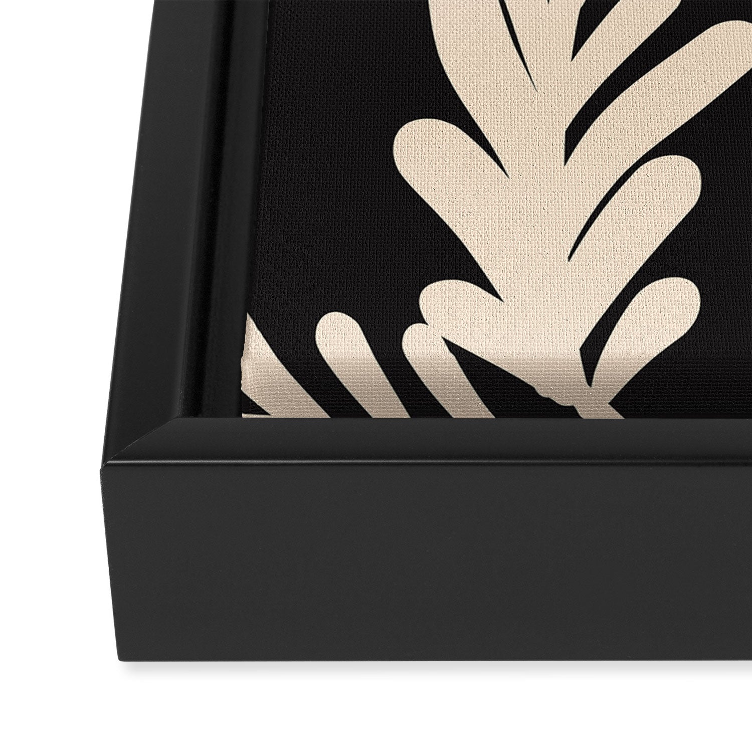 Abstract Minimal -Plant 6/2 Framed Canvas Print Gallery Image 3