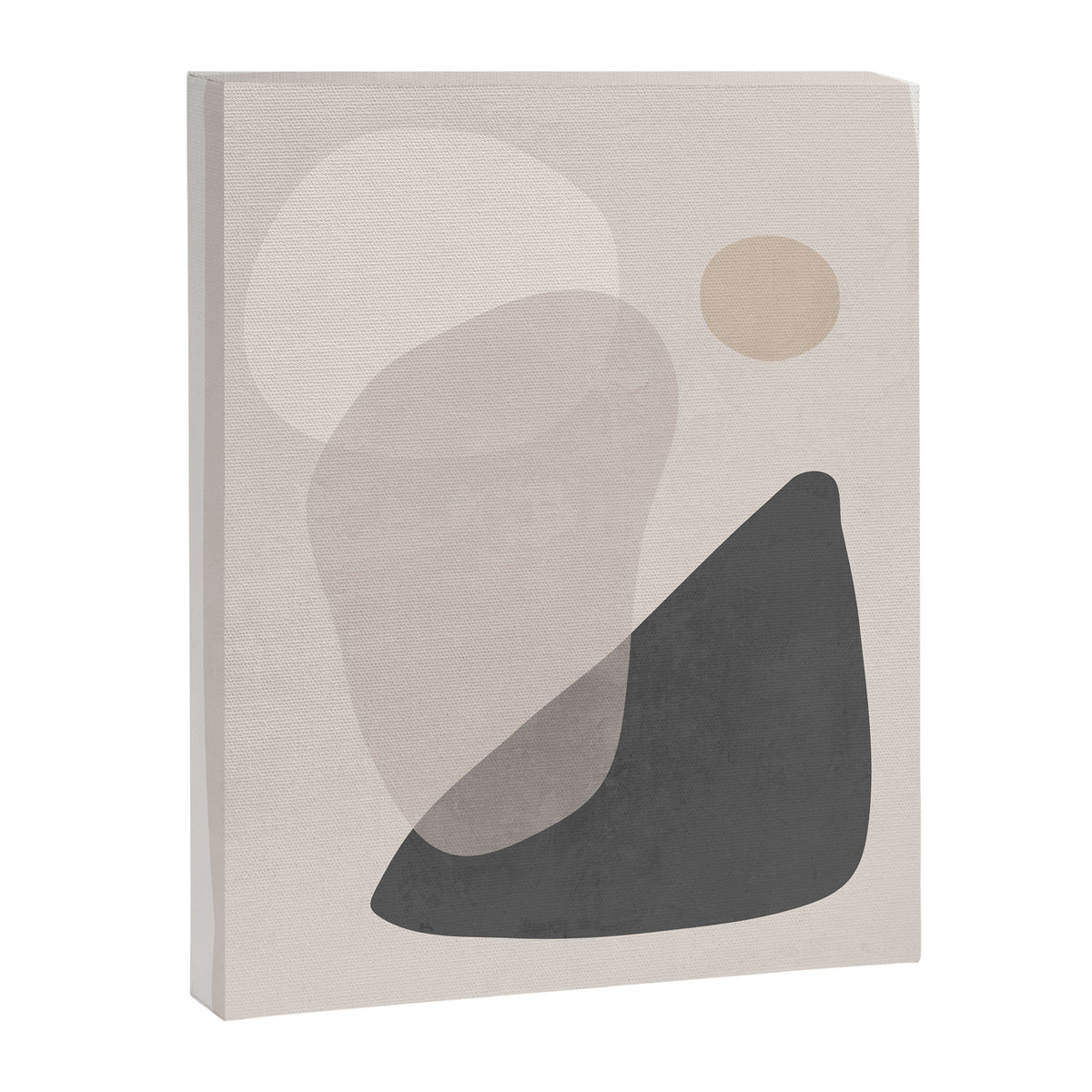 Abstract Minimal Shapes 26 Canvas Print Gallery Image 6