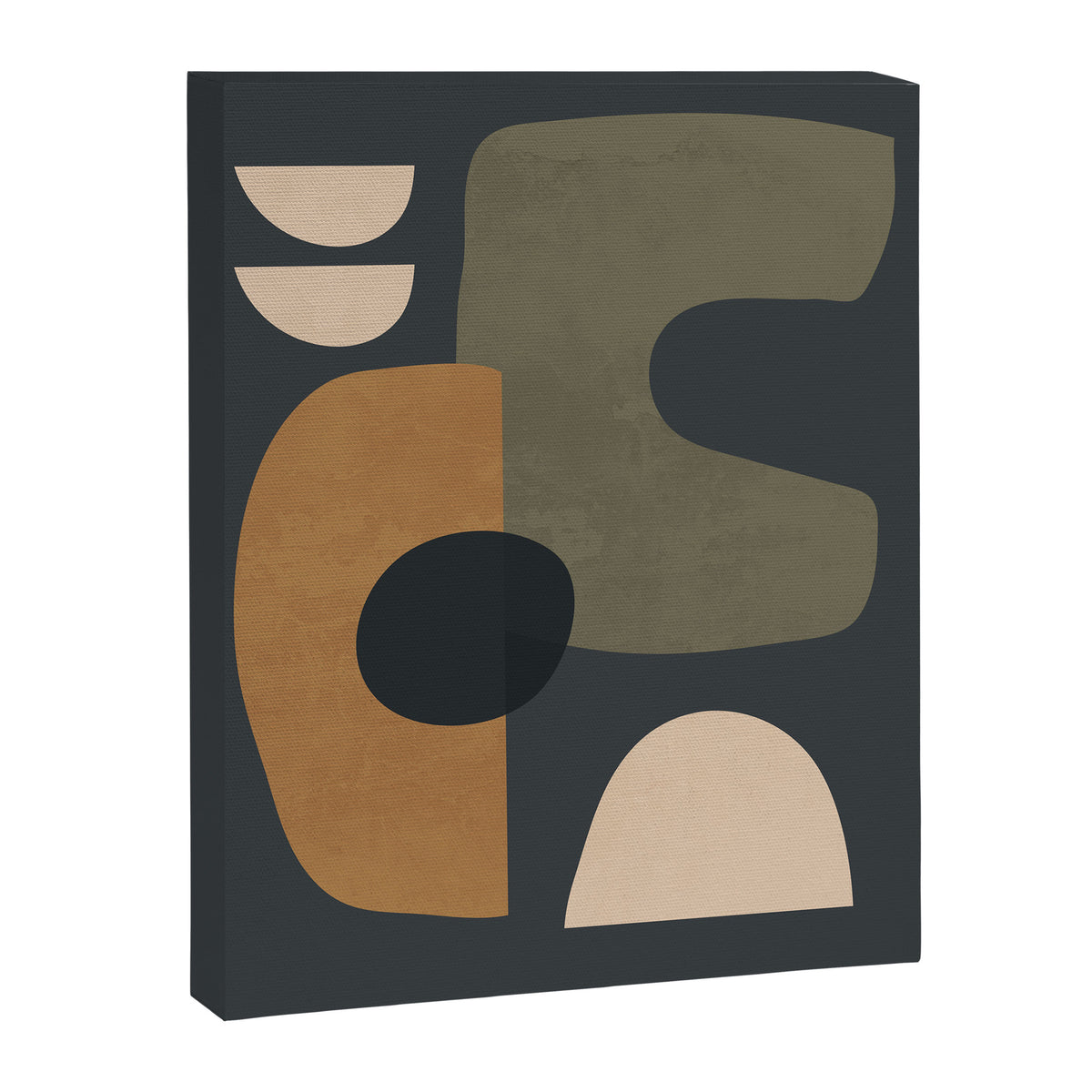 Abstract Minimal Shapes 76 Canvas Print Gallery Image 6