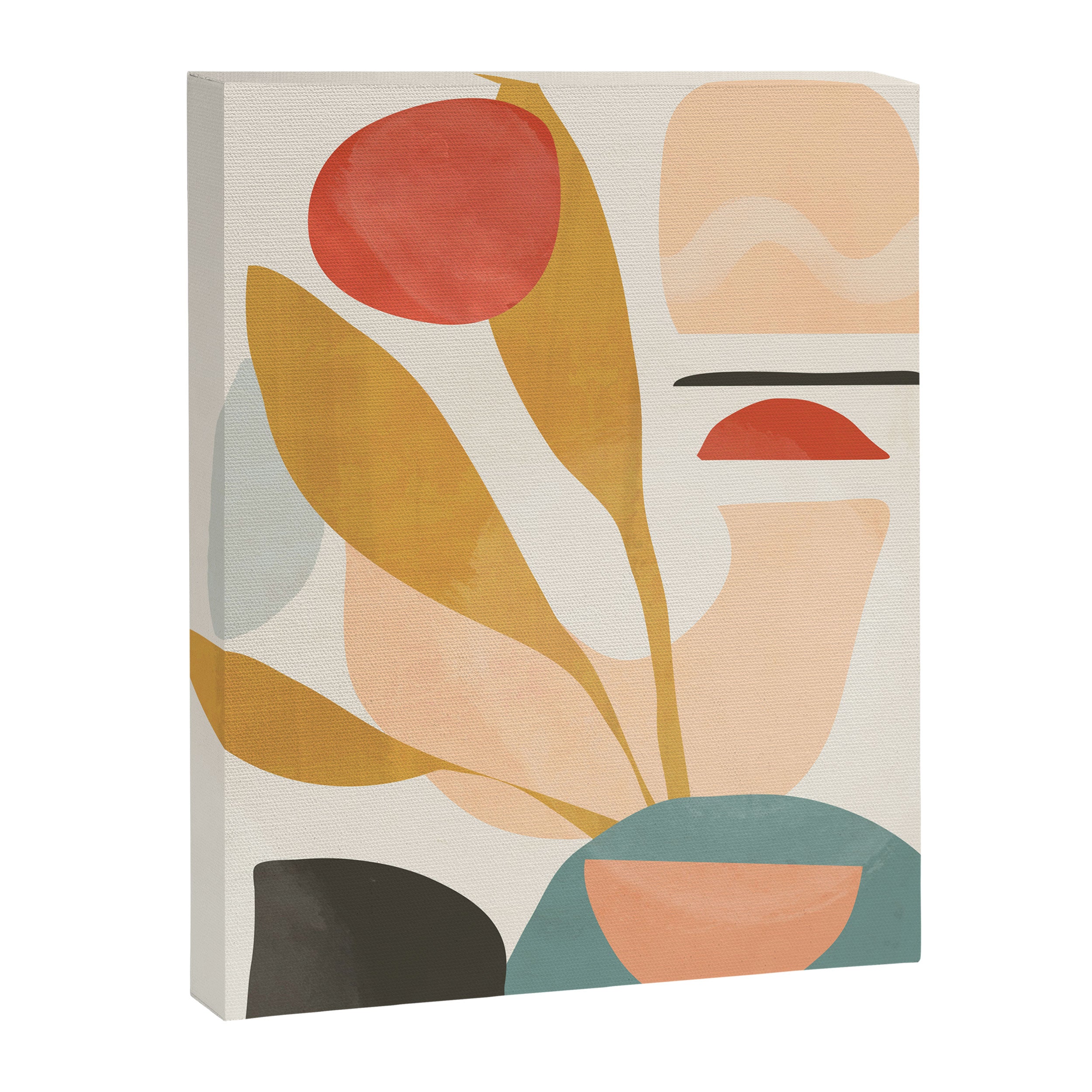 Abstract Shapes 20 Canvas Print Gallery Image 6