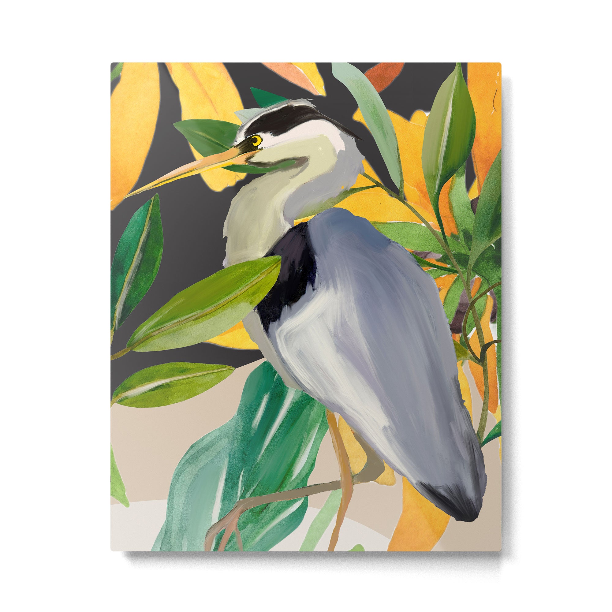 Bird 6 Metal Print Gallery Image 4