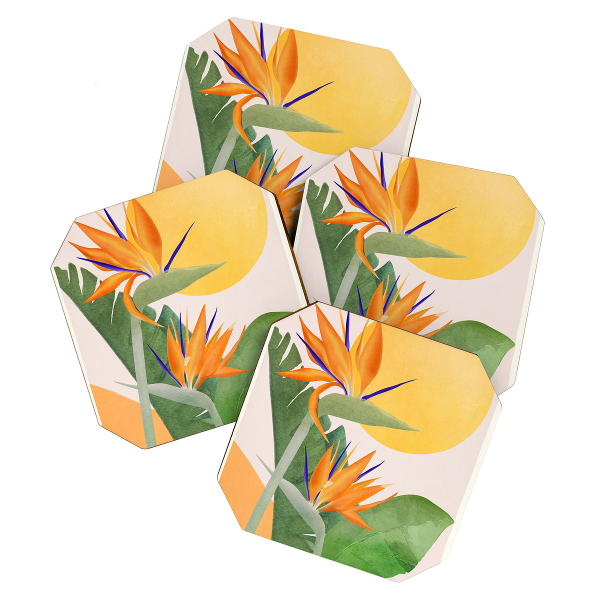 Bird of Paradise 3 Coaster Gallery Image 1