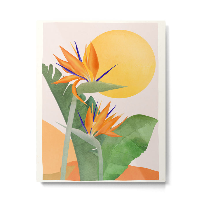 Bird of Paradise 3 Metal Print Gallery Image 1