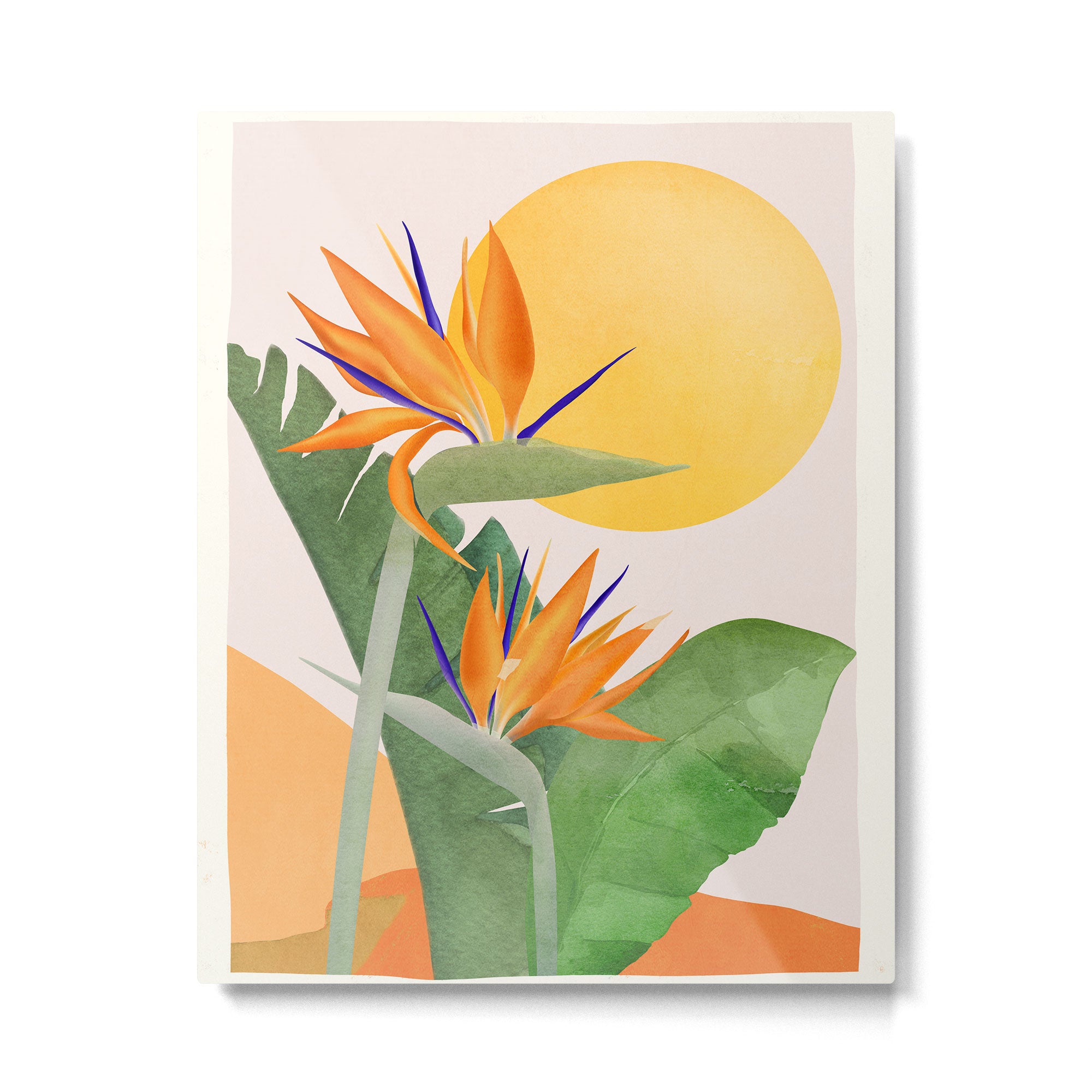 Bird of Paradise 3 Metal Print Gallery Image 4
