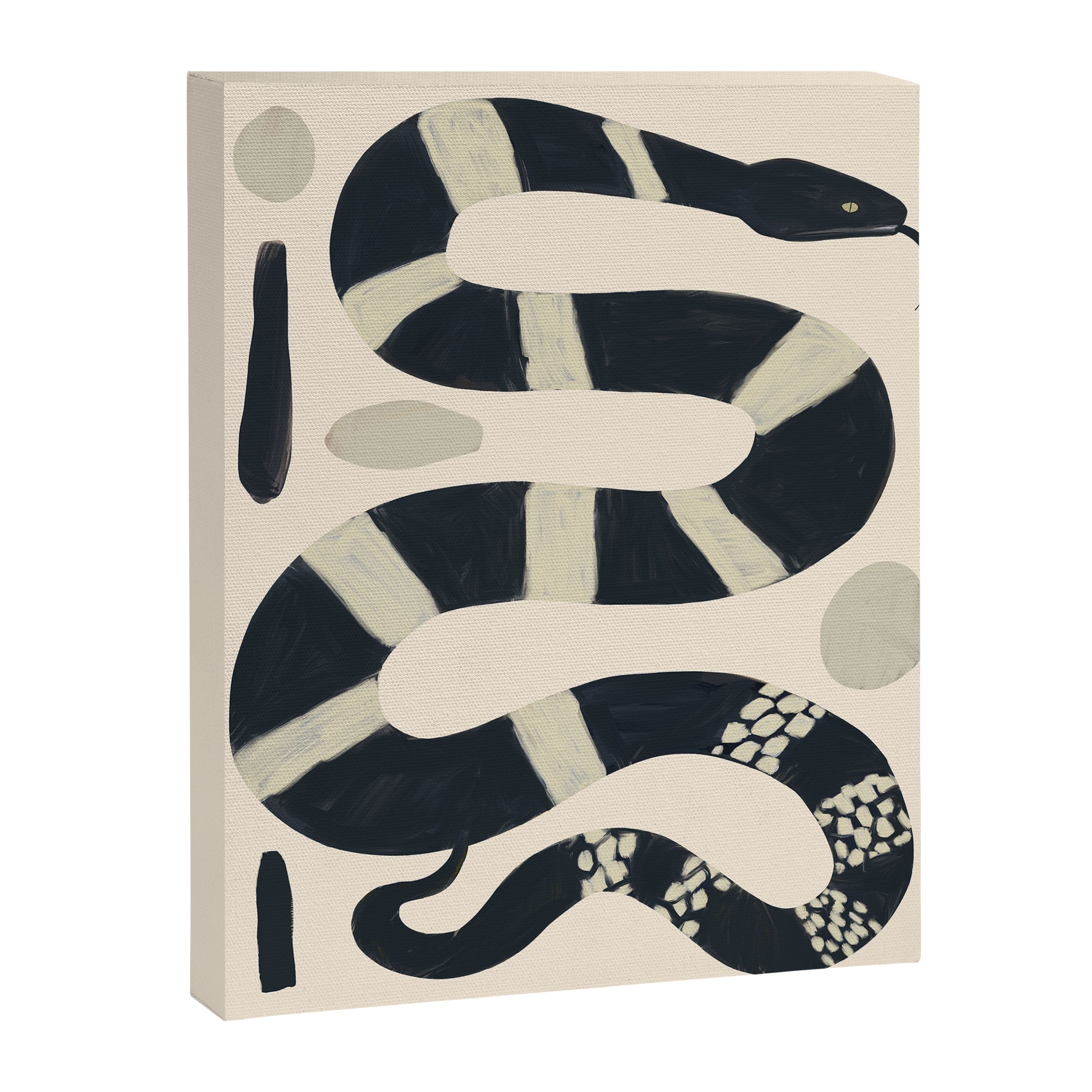 Black and White Snake Canvas Print Gallery Image 8