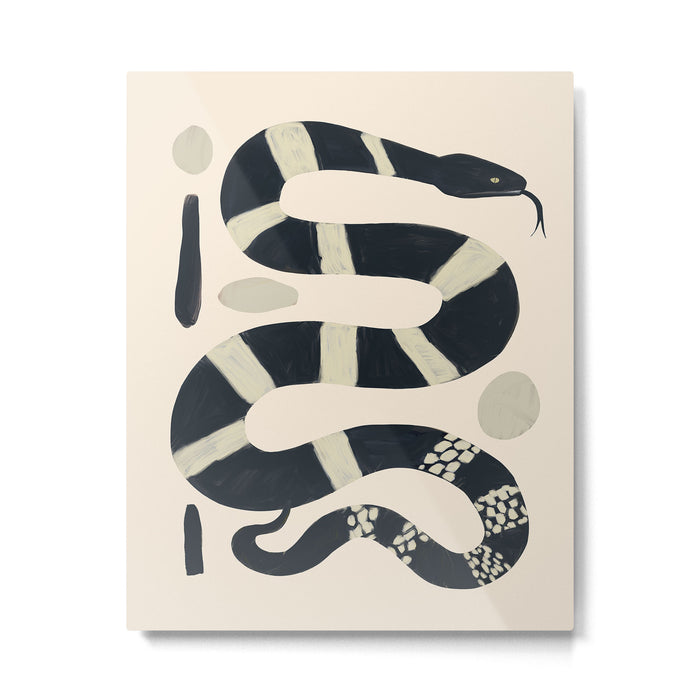 Black and White Snake Metal Print Gallery Image 1