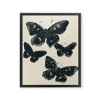 Black Butterflies 2 Framed Canvas Print Gallery Image 6