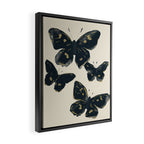 Black Butterflies 2 Framed Canvas Print Gallery Image 2