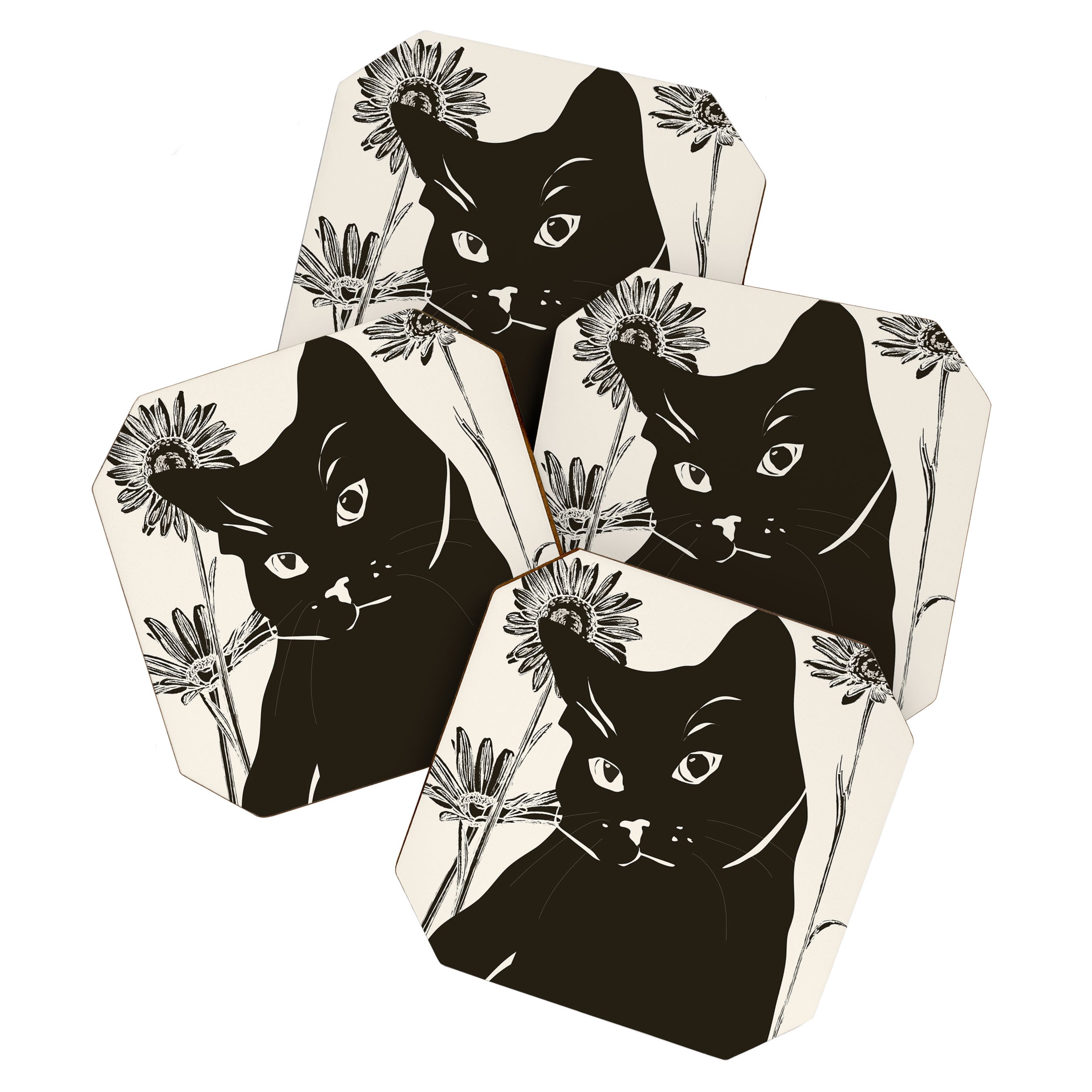 Black Cat 3 Coaster Gallery Image 1
