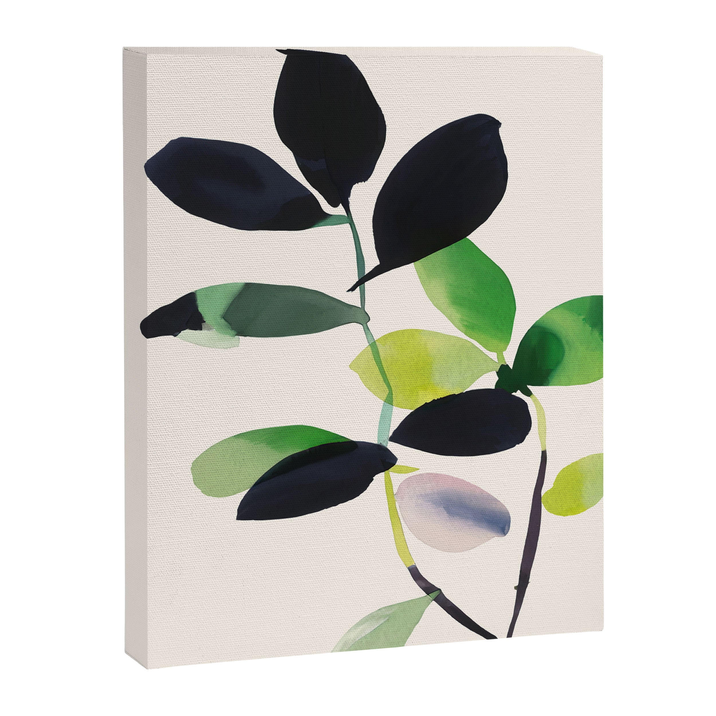 Botanic Form III Canvas Print Gallery Image 6
